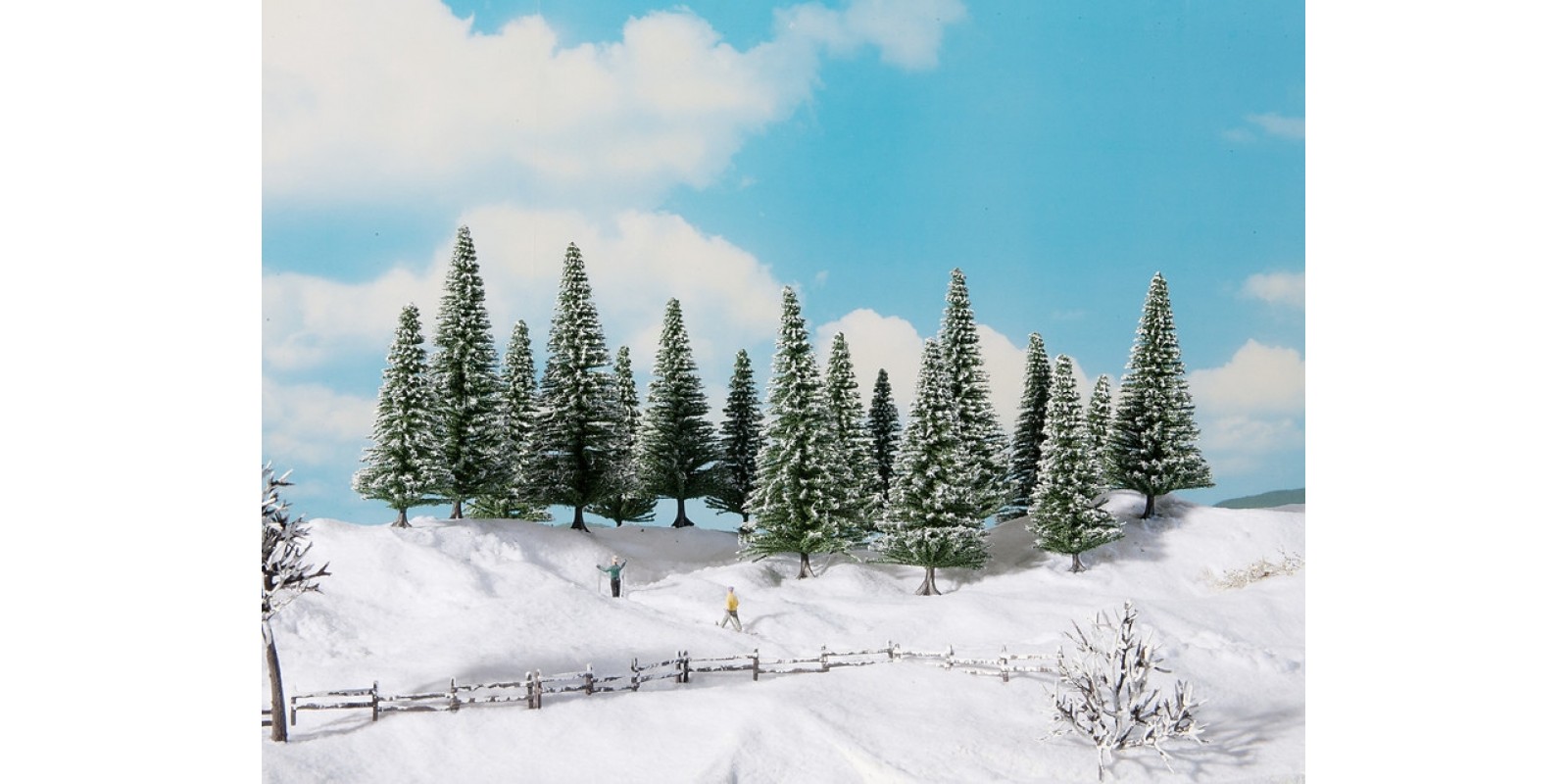 NO24682 Snowy Fir Trees