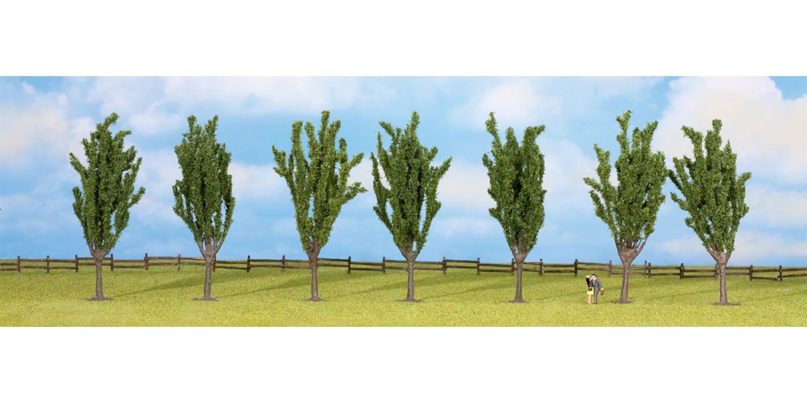 NO25098 Poplars, 7 pieces, approx. 12 cm high, H0,TT,N