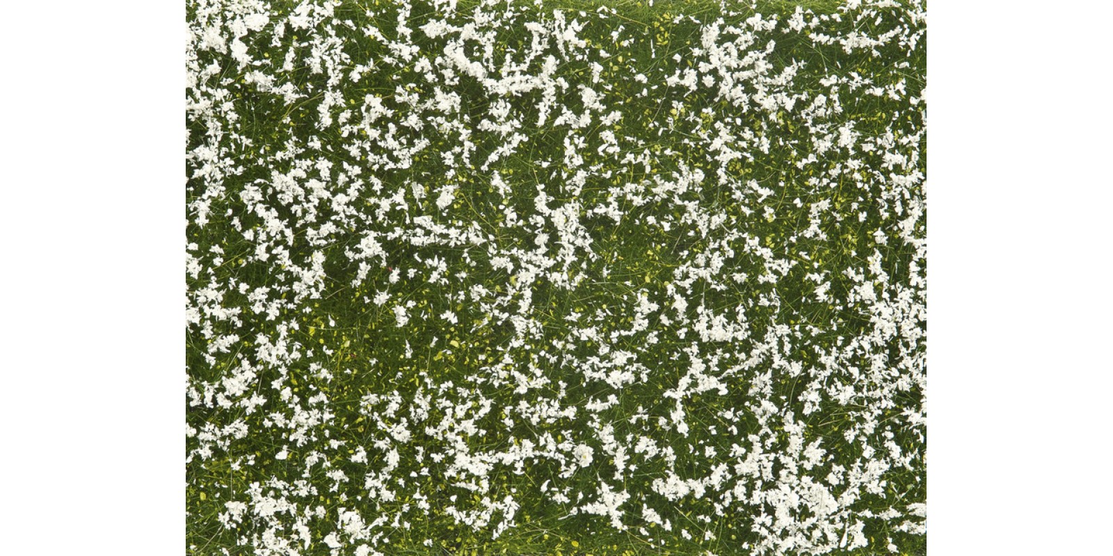 NO07256 Groundcover Foliage, Meadow white