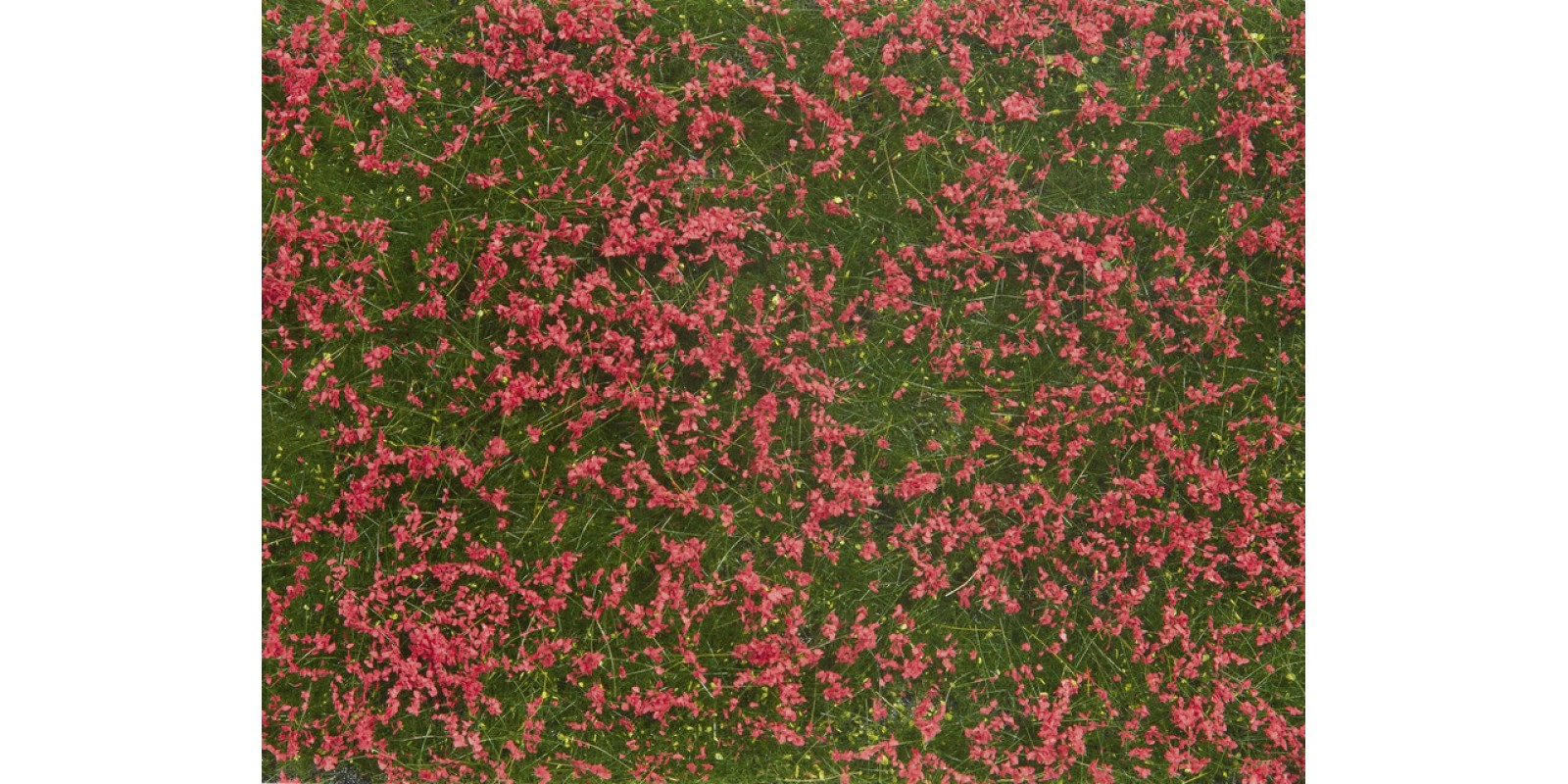 NO07257 Groundcover Foliage, Meadow red