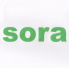 SORA (5)